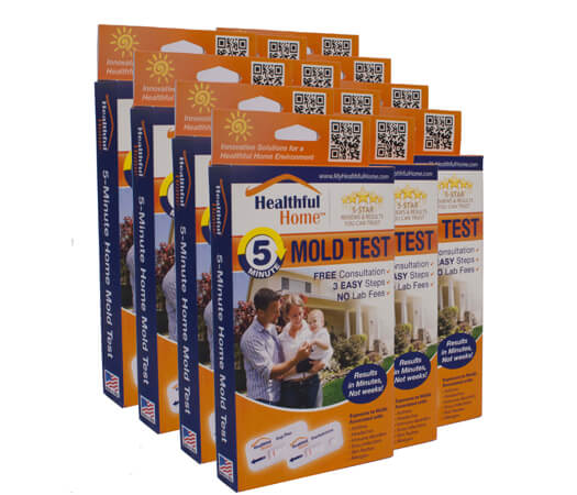 Buy The Healthful Home 5-Minute Mold Test Case Pack 12